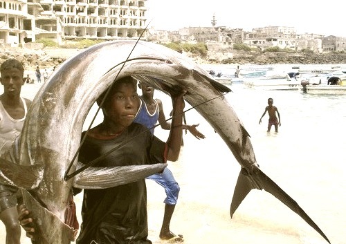 by Yasin Osman on Flickr.Fishing capture - Mogadishu, Somalia.