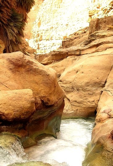 by david.m.martinson on Flickr.Waterfalls in Wadi Zarqa oasis, Jordan.