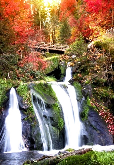 Black Forest Waterfall, Triberg, Germany