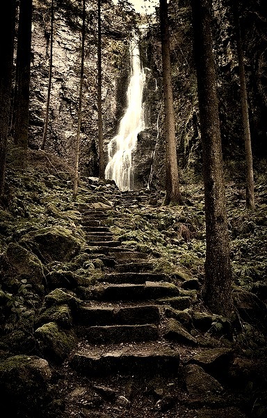 Waterfall Steps, The Black Forest, Germany