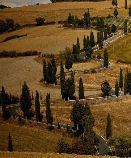 The road from Pienza to Montichiello in Tuscany, Italy