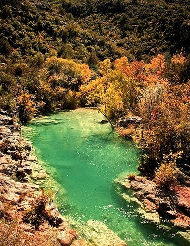 Fall colors at Fossil Creek, central Arizona, USA