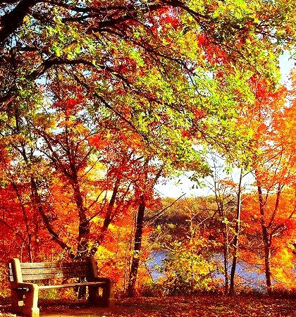 Autumn Bench, St. Paul, Minnesota