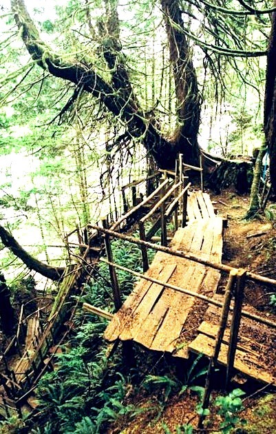 Wooden Path, British Columbia, Canada