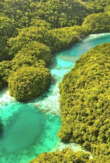 Turquoise colored water of the Milky Way Cove in Rock Islands / Palau